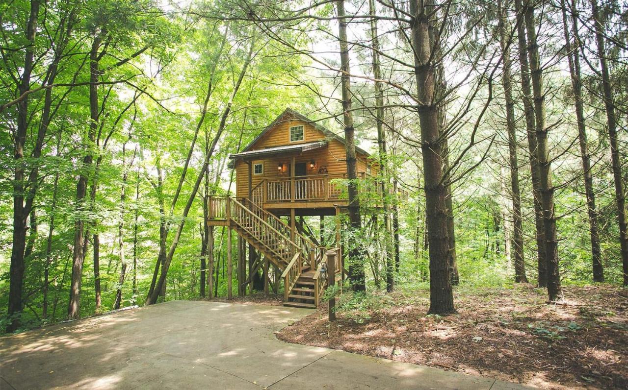 Wild Cherry Treehouse By Amish Country Lodging Millersburg Exterior foto