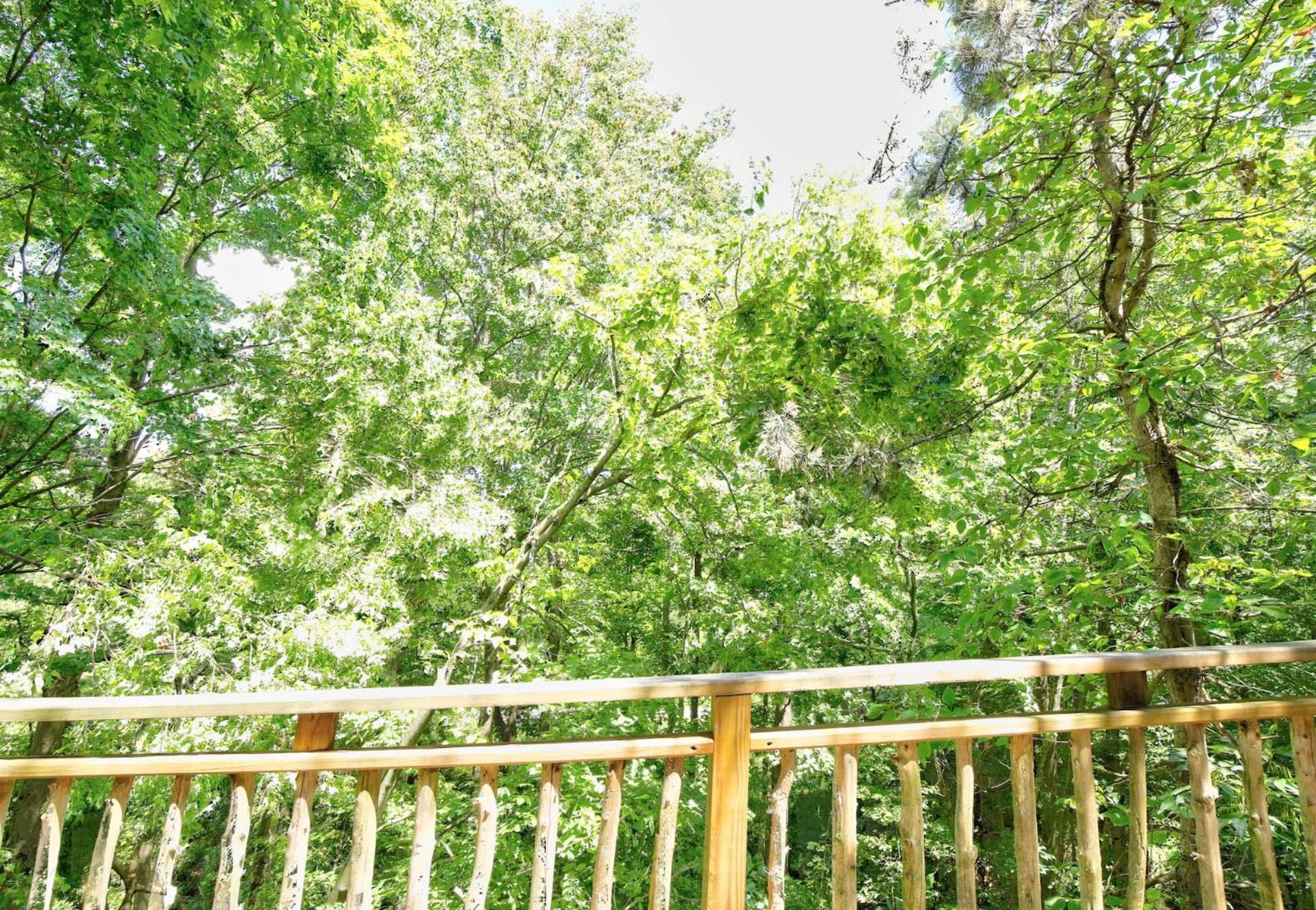 Wild Cherry Treehouse By Amish Country Lodging Millersburg Exterior foto